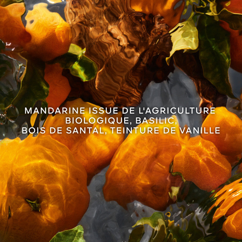 GUERLAIN  Coffret Aqua Allegoria Mandarine Basilic Forte Eau de parfum